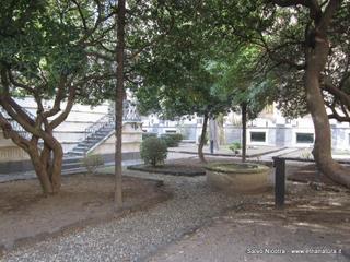 nastero Benedettini-16-03-2014 12-25-47